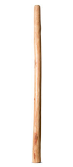 Earl Clements Didgeridoo (EC376)